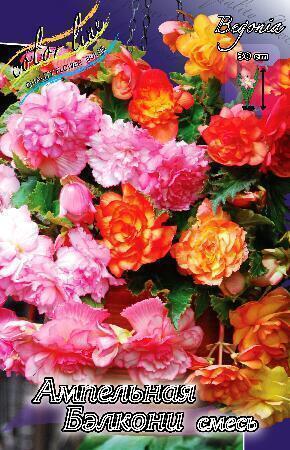 Купить оптом в Ботанике Бегония ампельная Бэлкони смесь 5/6 50 шт