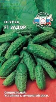 Купить оптом в Ботанике семена Огурец Задор F1 Сед бренд СеДеК
