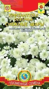 Купить оптом в Ботанике семена Хризантема Снежные шары девичья Плз бренд Плазмас