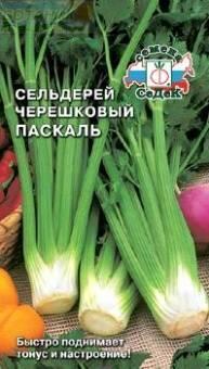 Купить оптом в Ботанике семена Сельдерей Паскаль черешковый Сед бренд СеДеК