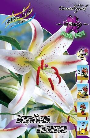 Купить оптом в Ботанике Лилия Гарден Пати 5 шт