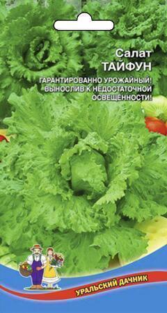 Купить оптом в Ботанике семена Салат Тайфун УД бренд Уральский дачник