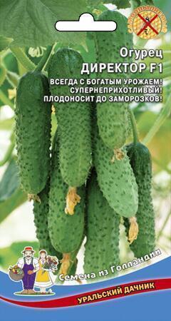 Купить оптом в Ботанике семена Огурец Директор F1 УД бренд Уральский дачник