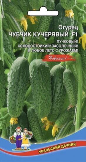 Купить оптом в Ботанике семена Огурец Чубчик кучерявый F1 УД бренд Уральский дачник