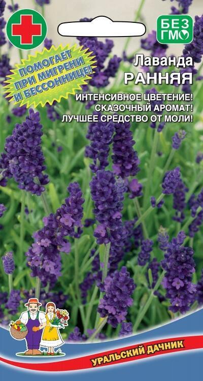 Купить оптом в Ботанике семена Лаванда Ранняя УД бренд Уральский дачник