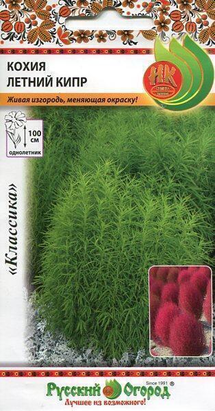 Купить оптом в Ботанике семена Кохия Летний Кипр НК бренд НК
