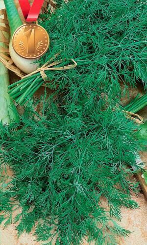 Купить оптом в Ботанике семена Укроп Победитель УД бренд Уральский дачник