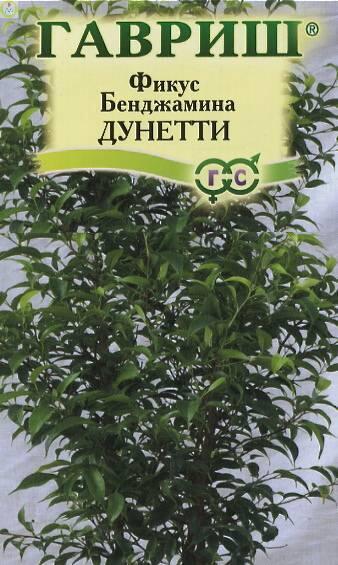 Купить оптом в Ботанике семена Фикус Бенджамина Дунетти Гав бренд Гавриш