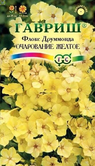 Купить оптом в Ботанике семена Флокс Очарование желтое друммонда Гав бренд Гавриш