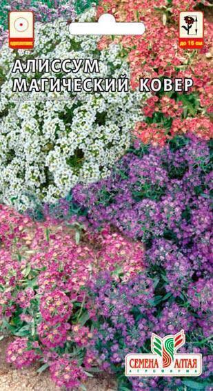 Купить оптом в Ботанике семена Алиссум Магический ковер СА бренд Семена Алтая