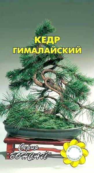 Купить оптом в Ботанике семена Кедр Гималайский УУ бренд Урожай Удачи
