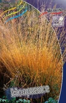 Купить оптом в Ботанике Молиния Моорхексе 2 шт