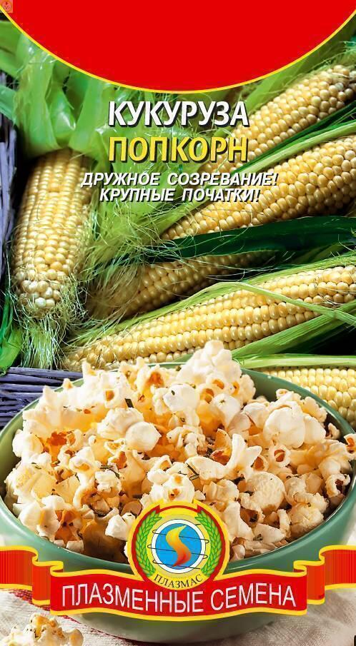 Купить оптом в Ботанике семена Кукуруза Попкорн Плз бренд Плазмас