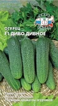 Купить оптом в Ботанике семена Огурец Диво дивное F1 Сед бренд СеДеК