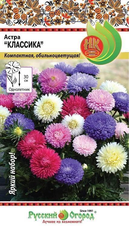 Купить оптом в Ботанике семена Астра Классика НК бренд НК