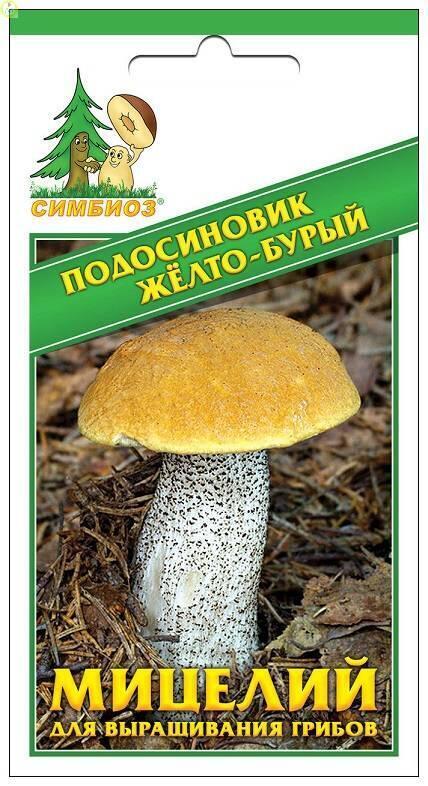 Купить оптом в Ботанике семена Подосиновик желто-бурый Сим бренд НПМЛ СИМБИОЗ
