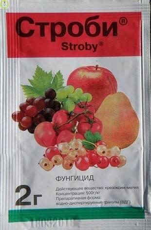 Купить оптом в Ботанике Строби 2 г (40)