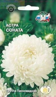 Купить оптом в Ботанике семена Астра Соната Сед бренд СеДеК