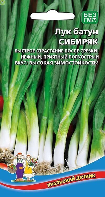 Купить оптом в Ботанике семена Лук батун Сибиряк УД бренд Уральский дачник
