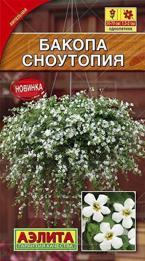 Купить оптом в Ботанике семена Бакопа Сноутопия Аэл бренд Аэлита