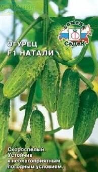 Купить оптом в Ботанике семена Огурец Натали F1 Сед бренд СеДеК