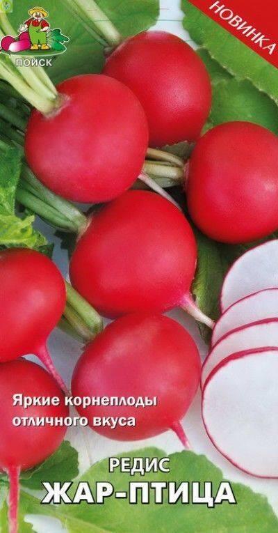 Купить оптом в Ботанике семена Редис Жар-птица Поиск бренд Поиск