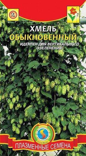Купить оптом в Ботанике семена Хмель обыкновенный Плз бренд Плазмас