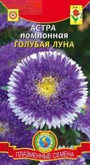 Купить оптом в Ботанике семена Астра Голубая луна помпонная Плз бренд Плазмас