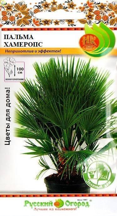Купить оптом в Ботанике семена Пальма Хамеропс НК бренд НК