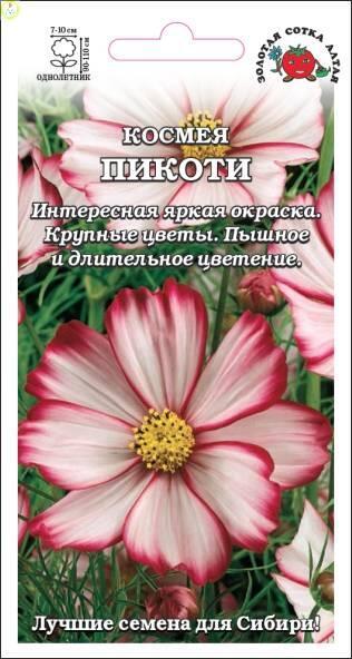 Купить оптом в Ботанике семена Космея Пикоти ЗС бренд Золотая сотка