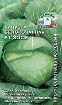 Купить оптом в Ботанике семена Капуста белокочанная Зося F1 Сед бренд СеДеК