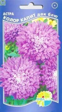 Купить оптом в Ботанике семена Астра Колор капит дак блю Акв бренд Акварель