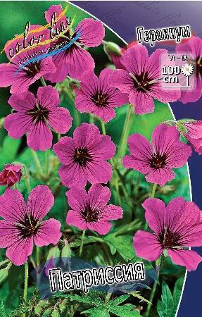 Купить оптом в Ботанике Гераниум Патрисия 1 шт