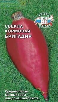Купить оптом в Ботанике семена Свекла Бригадир кормовая Сед бренд СеДеК
