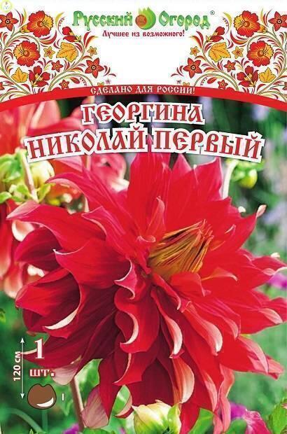 Купить оптом в Ботанике Клематис Перида I 1 шт