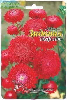 Купить оптом в Ботанике семена Астра китайская Зидония Скарлет Био бренд Биотехника