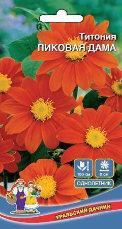 Купить оптом в Ботанике семена Титония Пиковая дама УД бренд Уральский дачник