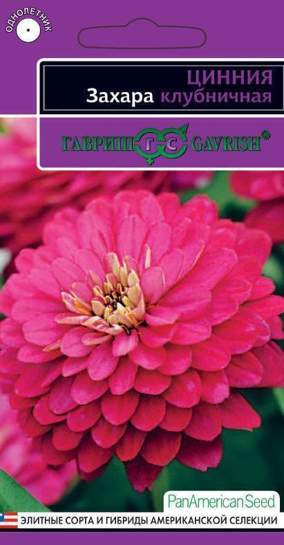 Купить оптом в Ботанике семена Цинния Захара клубничная Гав бренд Гавриш