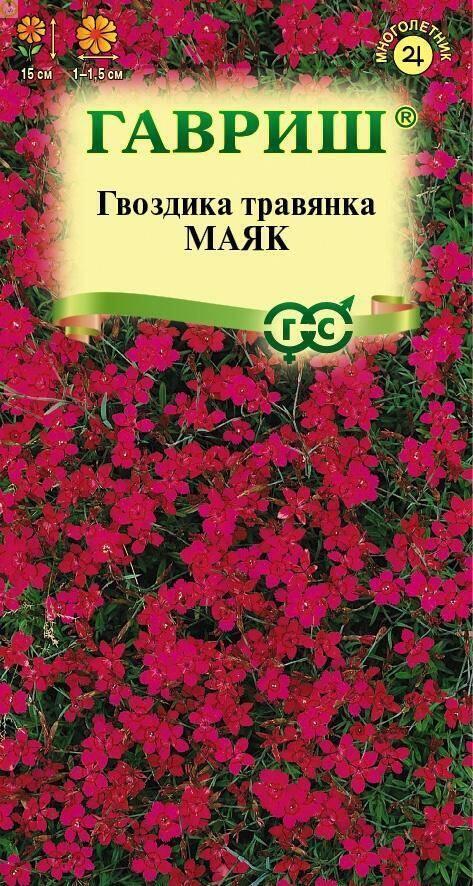 Купить оптом в Ботанике семена Гвоздика травянка Маяк Гав бренд Гавриш