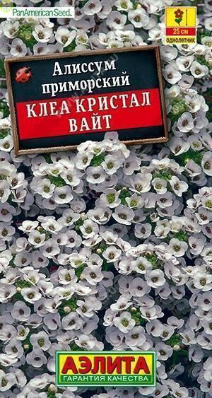 Купить оптом в Ботанике семена Алиссум Клеа кристал вайт Аэл бренд Аэлита