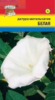 Купить оптом в Ботанике семена Датура Белая метельчатая УУ бренд Урожай Удачи