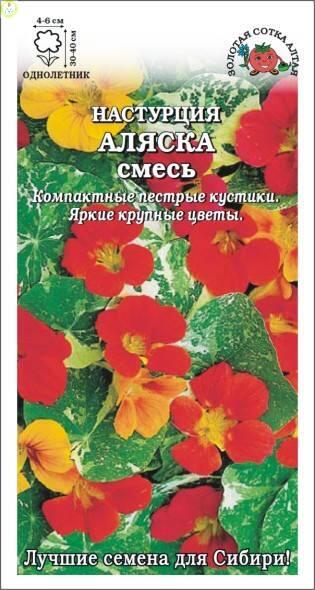Купить оптом в Ботанике семена Настурция Аляска ЗС бренд Золотая сотка
