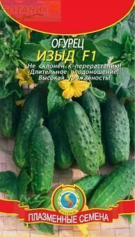Купить оптом в Ботанике семена Огурец Изыд F1 Плз бренд Плазмас