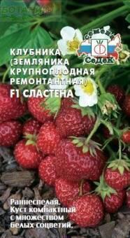 Купить оптом в Ботанике семена Земляника Сластена F1 Сед бренд СеДеК