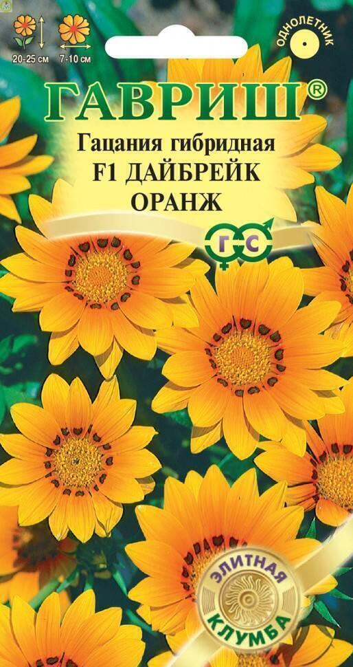 Купить оптом в Ботанике семена Гацания Дайбрейк оранж Гав бренд Гавриш