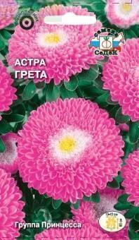 Купить оптом в Ботанике семена Астра Грета Сед бренд СеДеК