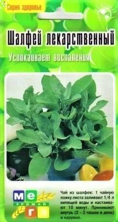 Купить оптом в Ботанике семена Шалфей лекарственный ССО бренд Сортсемовощ