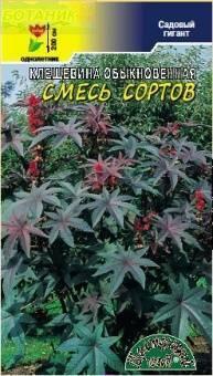 Купить оптом в Ботанике семена Клещевина Смесь окрасок ЦС бренд Цветущий Сад
