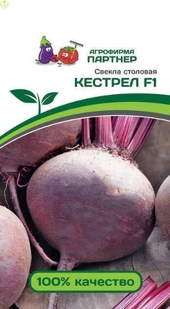 Купить оптом в Ботанике семена Свекла Кестрел F1 Пар бренд Партнер