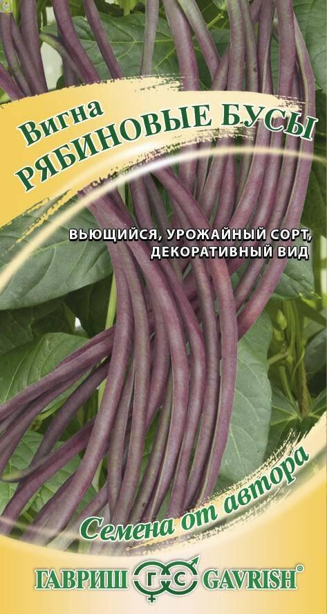Купить оптом в Ботанике семена Вигна Рябиновые бусы Гав бренд Гавриш